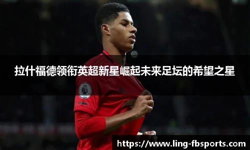 FB体育官网
